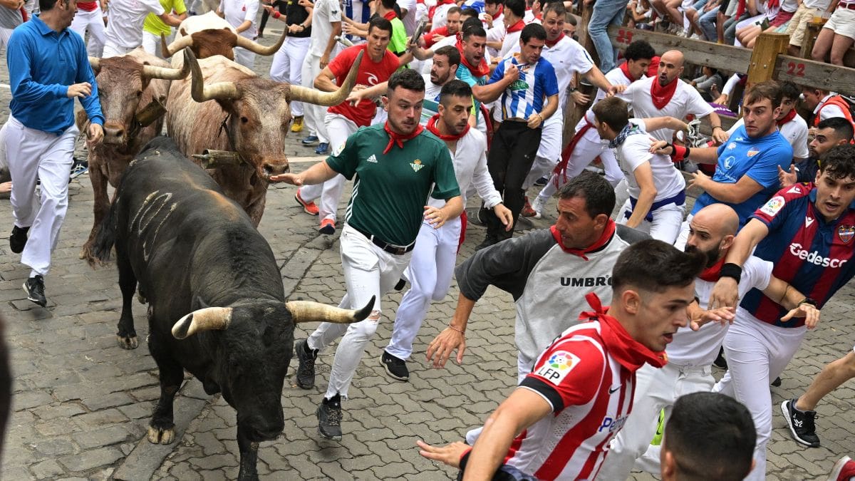 Los toros de Núñez del Cuvillo dejan un quinto encierro de los Sanfermines rápido y limpio