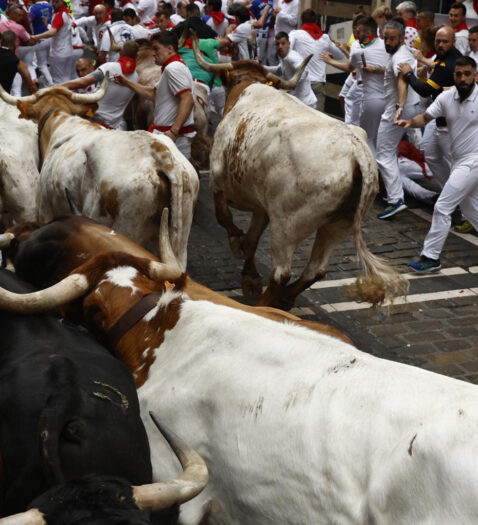 El primer encierro de los Sanfermines 2023, con toros de La Palmosilla, en imágenes