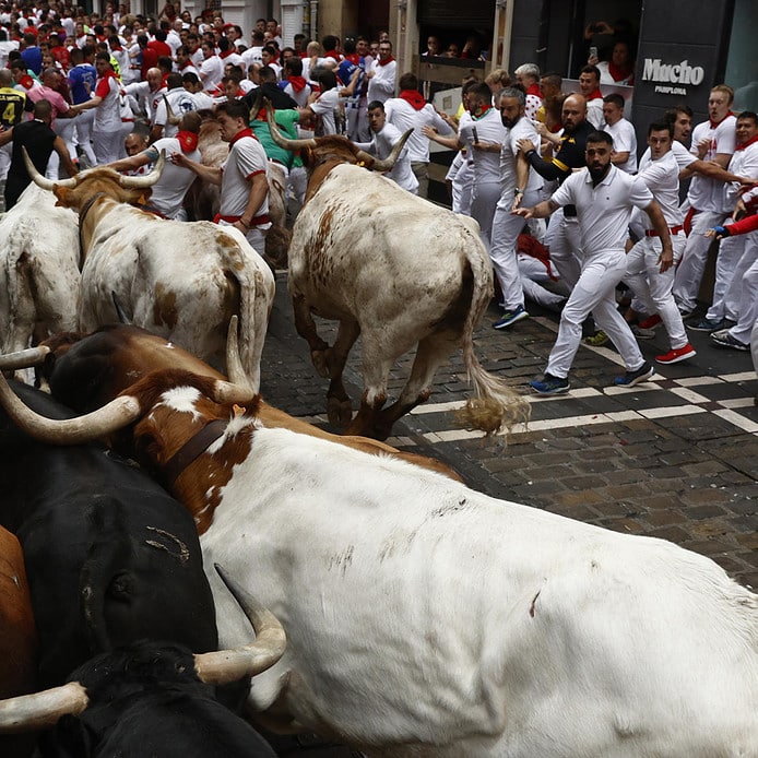 El primer encierro de los Sanfermines 2023, con toros de La Palmosilla, en imágenes