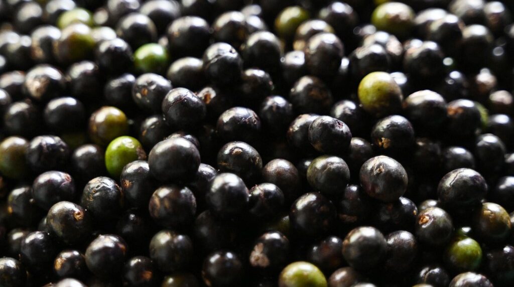 ¿Qué es la manaca o açaí? Conoce más sobre este espectacular fruto amazónico
