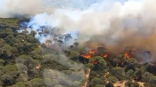 El incendio en Puerto Real obliga a desalojar viviendas y provoca cortes de luz y tráfico