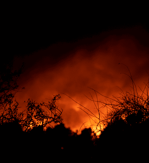 El incendio forestal de Tenerife, en imágenes