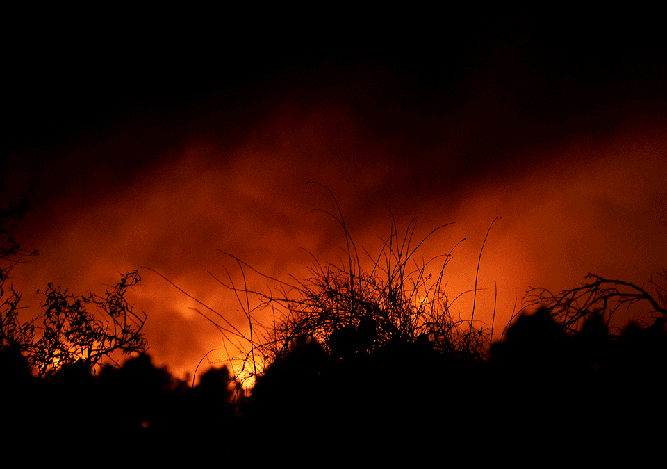 El incendio forestal de Tenerife, en imágenes