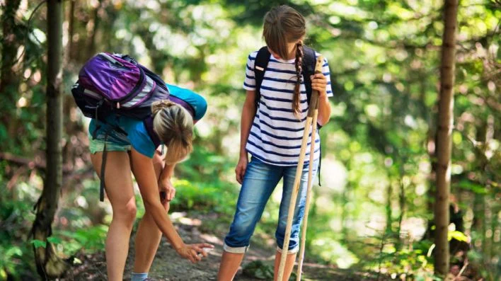 El calor dispara la plaga de garrapatas