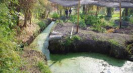 Chinampas, la práctica de cultivo precolombina que sobrevive en Ciudad de México