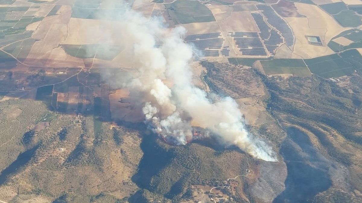 Un centenar de efectivos trabajarán esta noche en un incendio en Lora del Río (Sevilla)