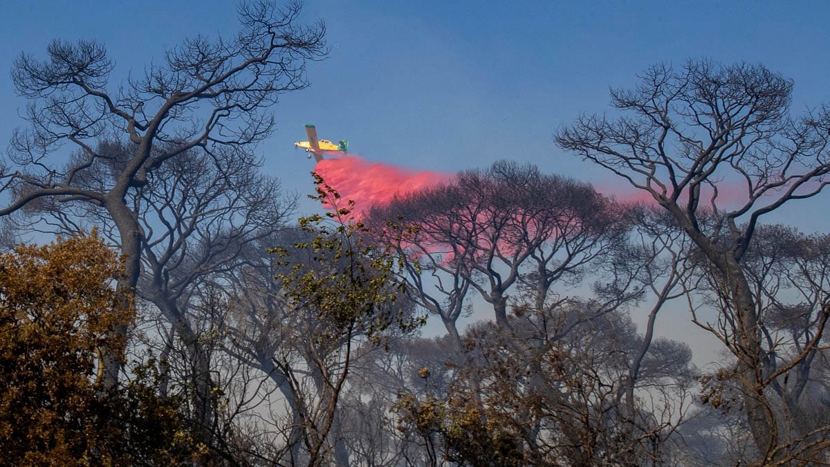 Detenido el autor de uno de los incendios provocados en Puerto Real (Cádiz)