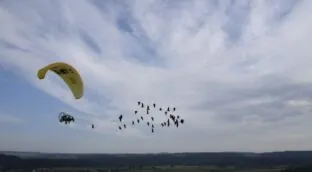Un ultraligero dirige la migración de ibis entre Cádiz y Viena