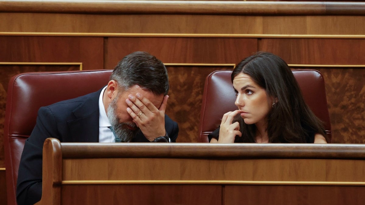 Indignación en Vox por la gestión del PP con la Mesa: «¿Dónde estaba su PNV?»