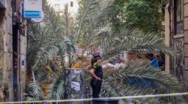 El Ayuntamiento no vio anomalías en la palmera caída en Barcelona tras revisarla en marzo