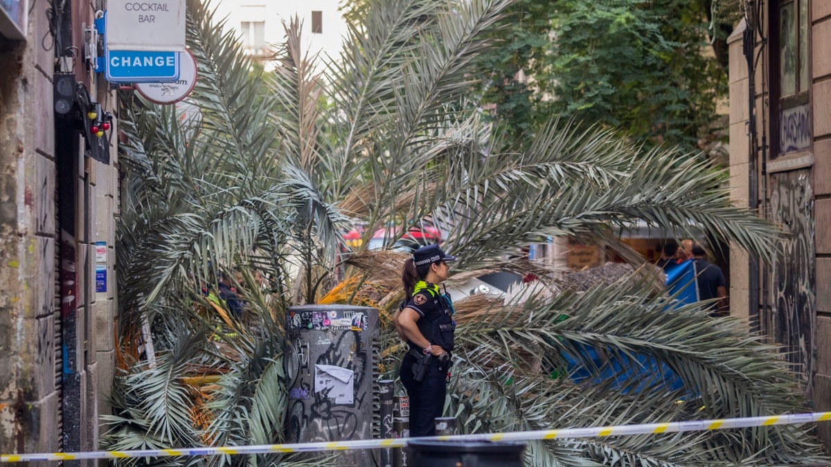 El Ayuntamiento no vio anomalías en la palmera caída en Barcelona tras revisarla en marzo