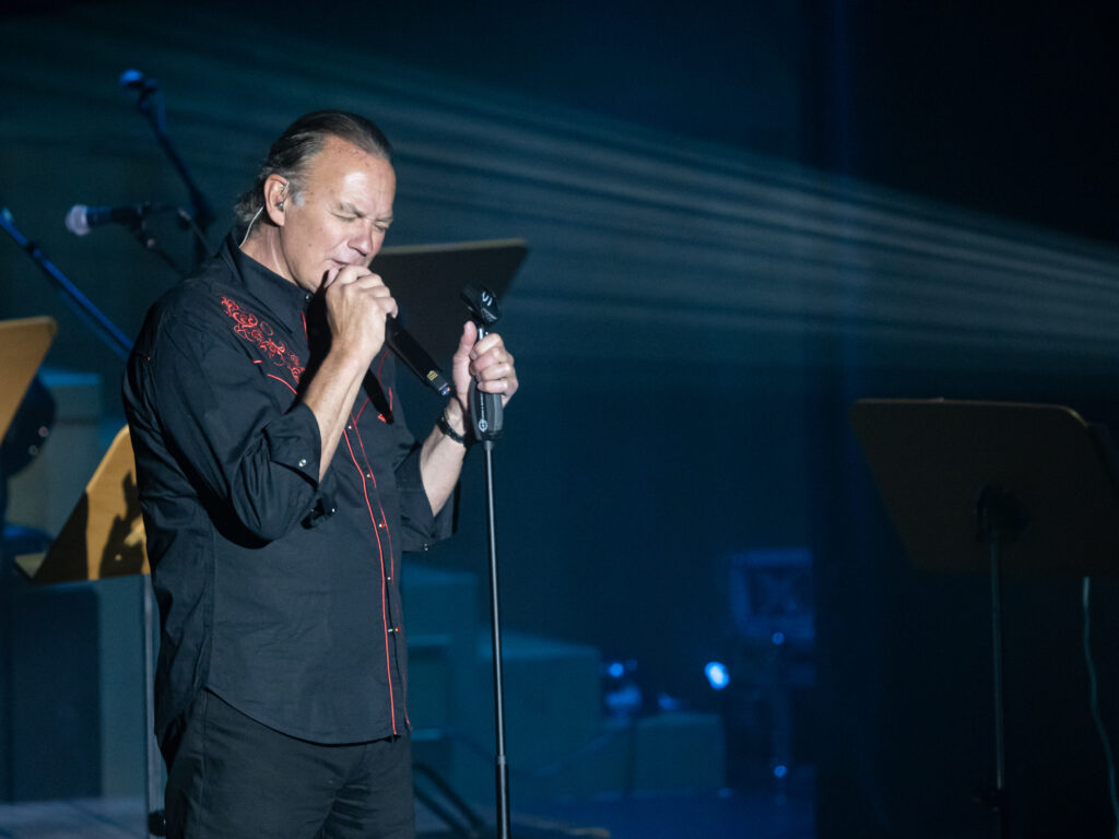 Bertín Osborne durante un concierto en Zaragoza