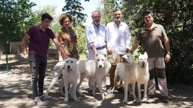 Perros Valdueza, una raza en expansión