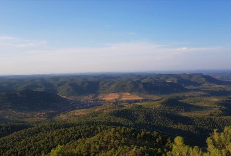 Teruel Existe denuncia al ministerio de Ribera ante la Fiscalía por otros siete parques eólicos