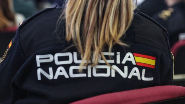 Un detenido en Palma de Mallorca tras robarle el perro a una mujer que lo paseaba