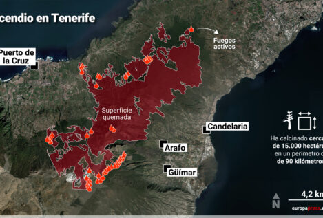 El fuego en Tenerife «no gana ni un metro cuadrado» pero se temen más reactivaciones