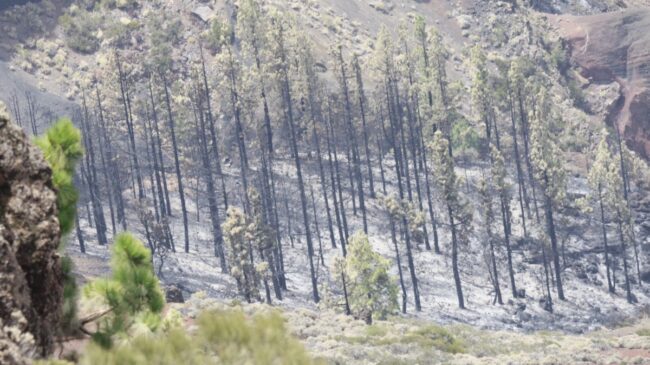 La evolución del incendio forestal en Tenerife permite la retirada de los hidroaviones