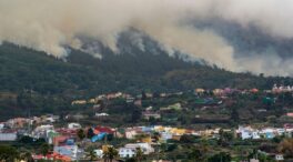 El incendio de Tenerife afecta ya a 5.000 hectáreas pese a los avances en su extinción