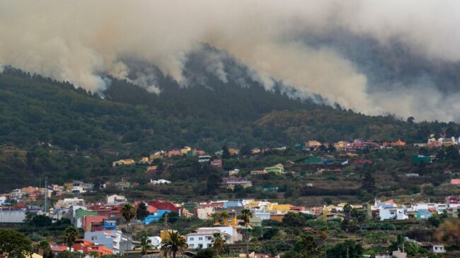 El incendio de Tenerife afecta ya a 5.000 hectáreas pese a los avances en su extinción