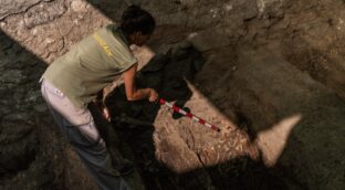 Transparencia exige al Gobierno que detalle el plan sanitario de sus exhumaciones