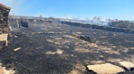 Un incendio en un paraje de La Línea de la Concepción obliga a desalojar varias viviendas
