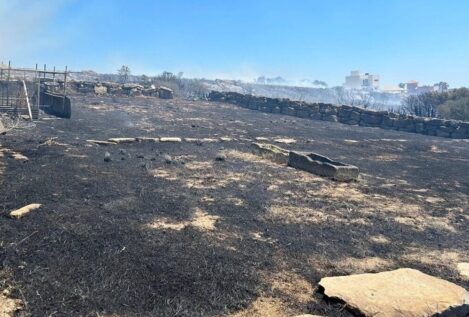 Un incendio en un paraje de La Línea de la Concepción obliga a desalojar varias viviendas