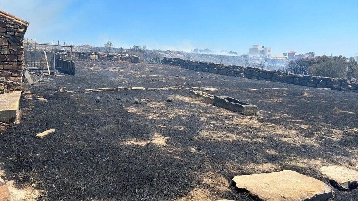 Un incendio en un paraje de La Línea de la Concepción obliga a desalojar varias viviendas