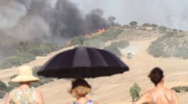 Un incendio forestal en Artajona (Navarra) obliga a movilizar a los efectivos del Estado