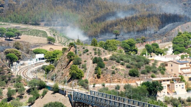 La tercera ola de calor dispara las temperaturas y reactiva los incendios de Puerto Real y Gerona