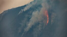 El presidente canario admite que el incendio no está controlado, pero «ha pasado lo peor»