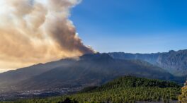 La Fundación Artemisan pide recuperar las políticas forestales de prevención de incendios