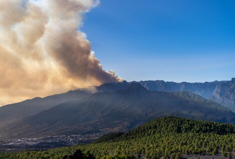 La Fundación Artemisan pide recuperar las políticas forestales de prevención de incendios