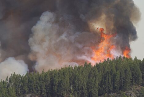 El incendio forestal de Tenerife empieza a «normalizarse» tras arrasar 4.000 hectáreas