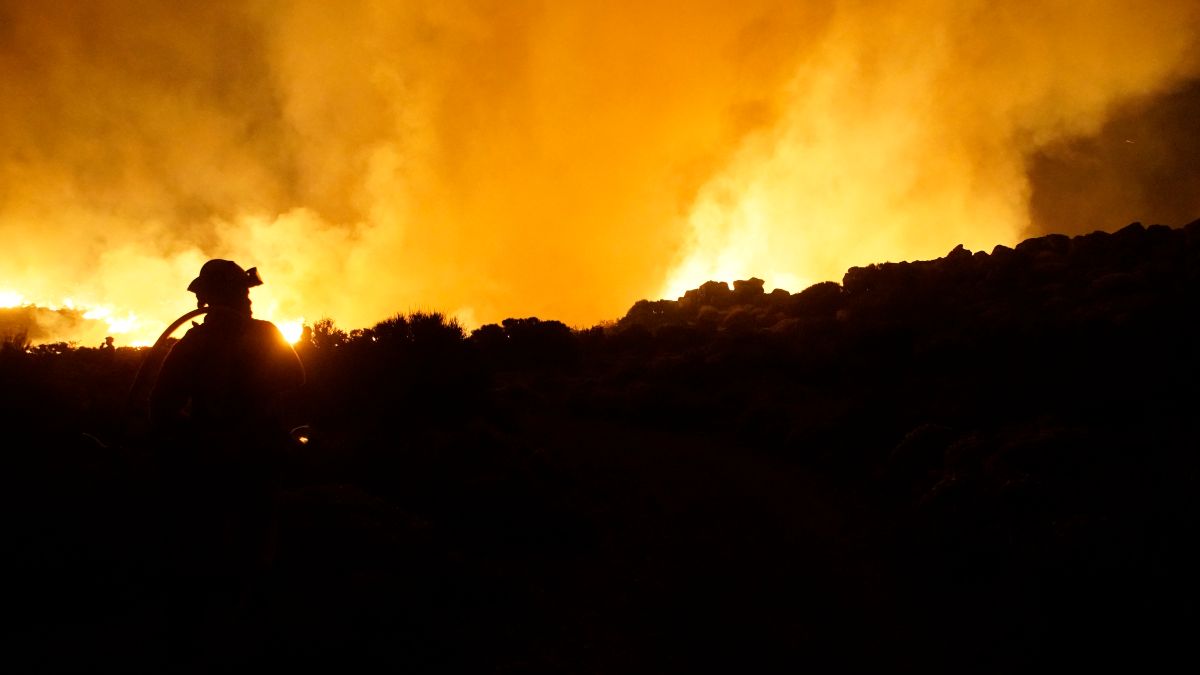 El Gobierno declarará Tenerife zona catastrófica por el incendio que ha arrasado 13.500 hectáreas