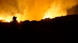 El Gobierno declarará Tenerife zona catastrófica por el incendio que ha arrasado 13.500 hectáreas