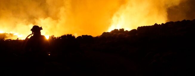 El Gobierno declarará Tenerife zona catastrófica por el incendio que ha arrasado 13.500 hectáreas
