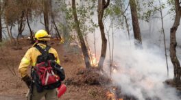 El Cabildo de Tenerife valora los daños del incendio forestal en 80,4 millones de euros