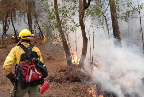El Cabildo de Tenerife valora los daños del incendio forestal en 80,4 millones de euros