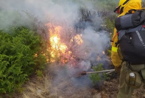 Castilla y León declara la alerta de riesgo de incendios forestales