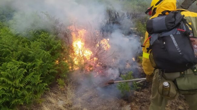 Castilla y León declara la alerta de riesgo de incendios forestales