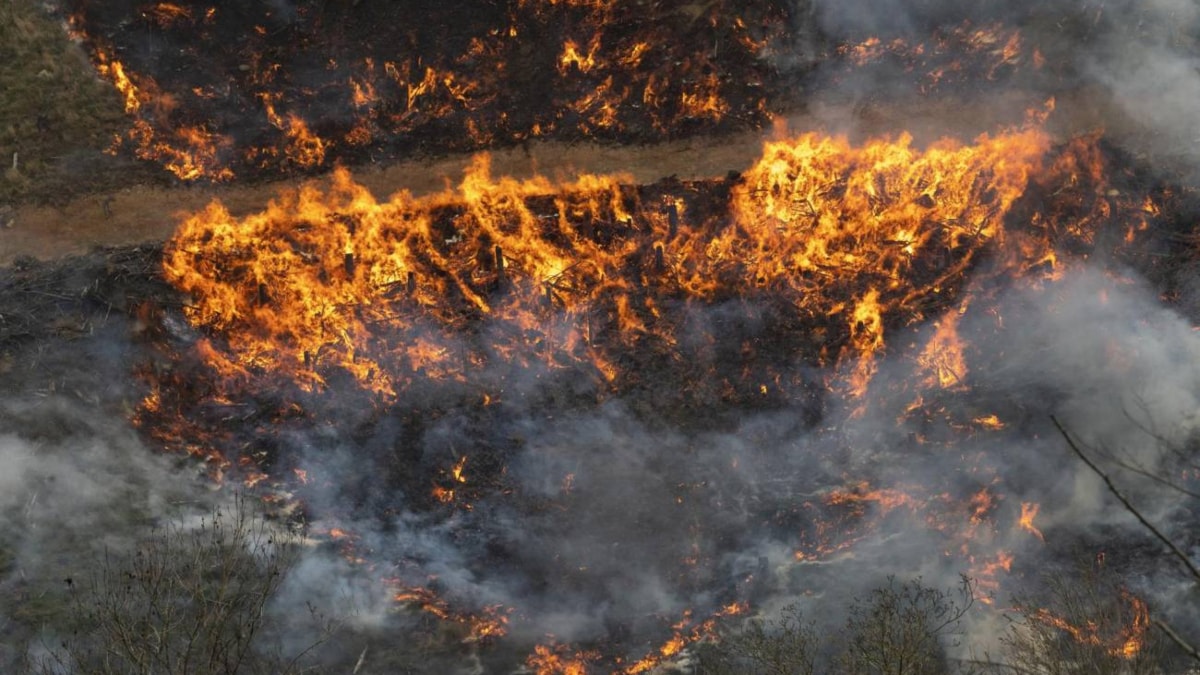 Incendios imposibles de apagar: cómo aprender a vivir con ellos