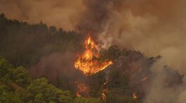 El incendio de Tenerife ya causa daños a algunas viviendas y afecta a 10.000 hectáreas