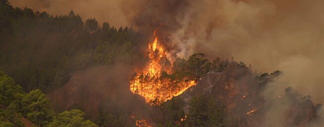 El incendio de Tenerife ya causa daños a algunas viviendas y afecta a 10.000 hectáreas