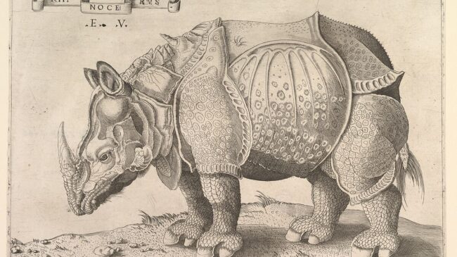 Alberto Durero y su ‘plagiador’ Raimondi