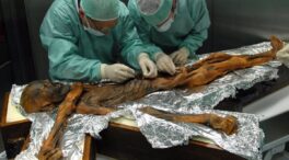 Ötzi: revelan que la momia europea más antigua era en realidad un hombre calvo y de piel oscura