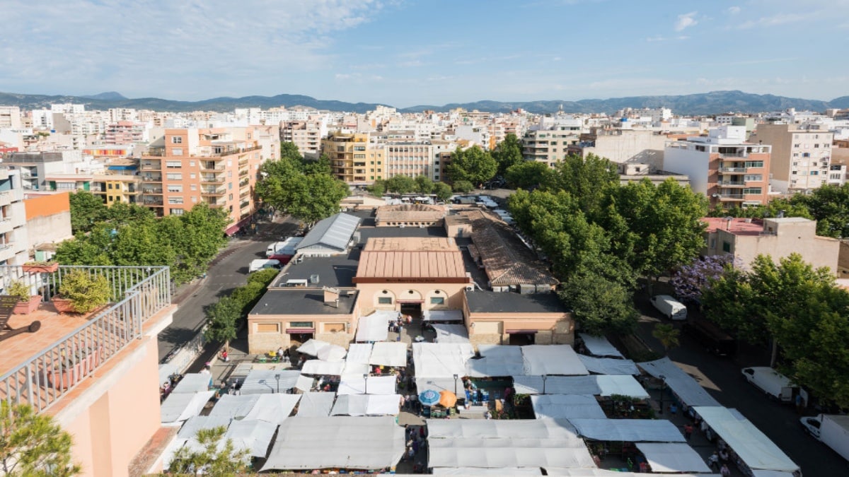 Detenido por rajar la cara a un hombre con una botella durante una pelea en Pedro Garau (Palma)