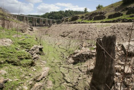 El seguro agrario ya ha asumido este año el pago de casi 1.000 millones por la sequía
