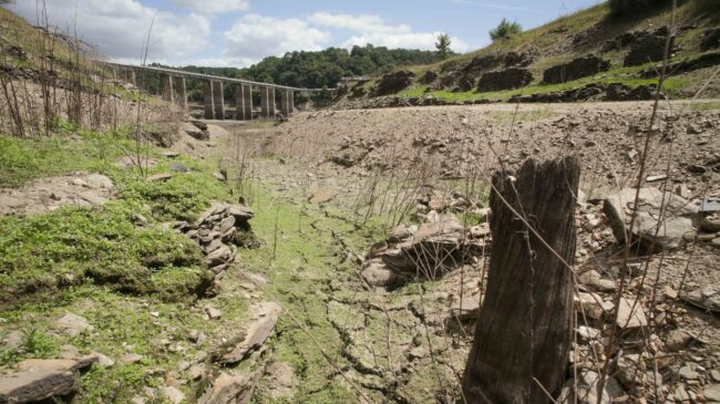 El seguro agrario ya ha asumido este año el pago de casi 1.000 millones por la sequía