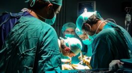 Uno de cada cuatro donantes fallecidos de órganos de Europa proviene de España