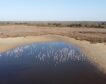 La Junta de Andalucía compra 7.500 hectáreas para proteger el parque de Doñana